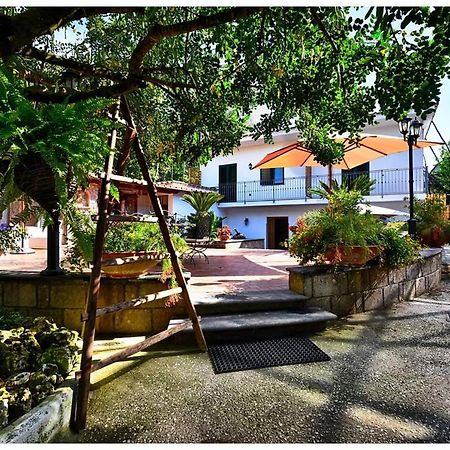 Bed and Breakfast Soso Península Sorrentina Exterior foto